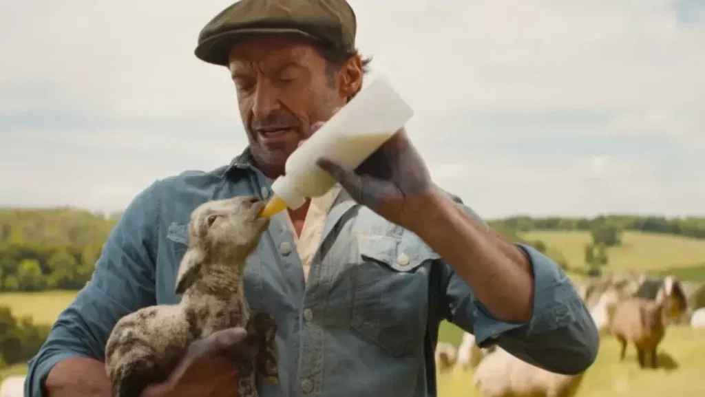 Hugh Jackman in a still from The Sheep Detectives