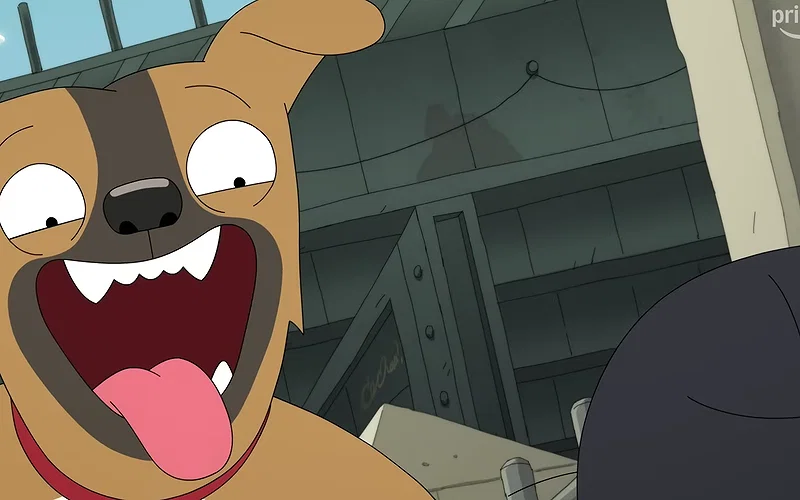 Every Actor in Amazon's Latest Original 10 A brown cat in Amazon Prime Video's Kevin