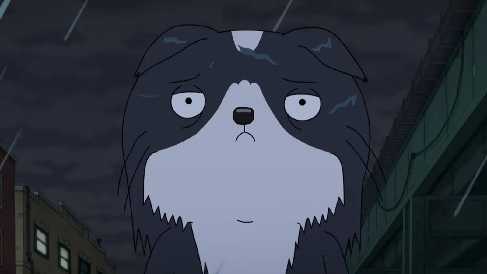 Is Kevin Renewed for Season 2 on Prime Video? Here’s What We Know