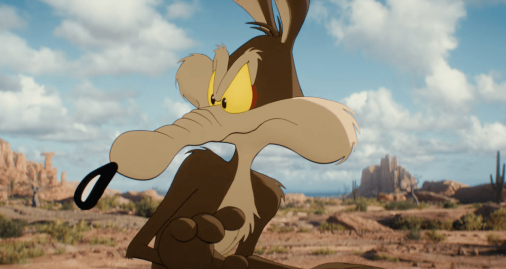 Coyote, standing in a desert 