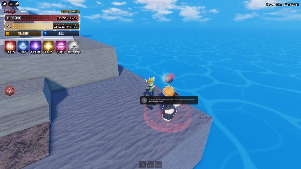 Soul Reaper in Sailor Piece