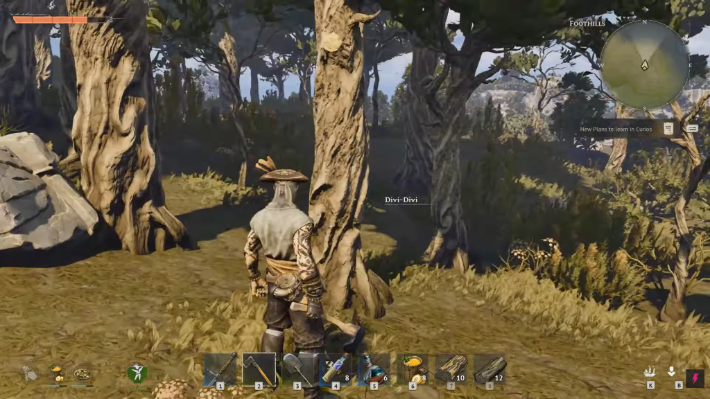 Mining Divi-Divi trees in Windrose.
