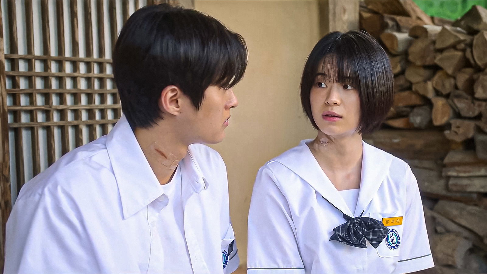 If Wishes Could Kill Ending Explained: The Deadly Cost of Desire