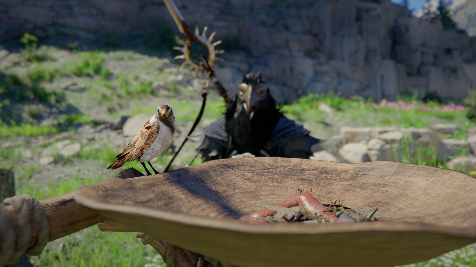 All New Bird Pets in Crimson Desert