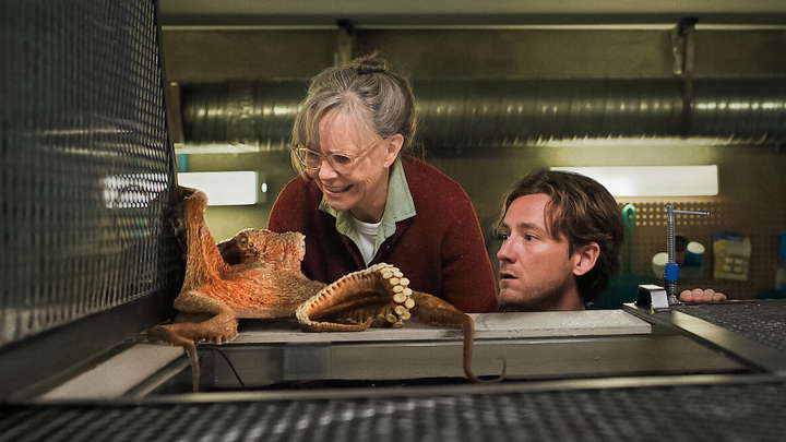 Remarkably Bright Creatures: Netflix Movie Full Cast Guide For All ...