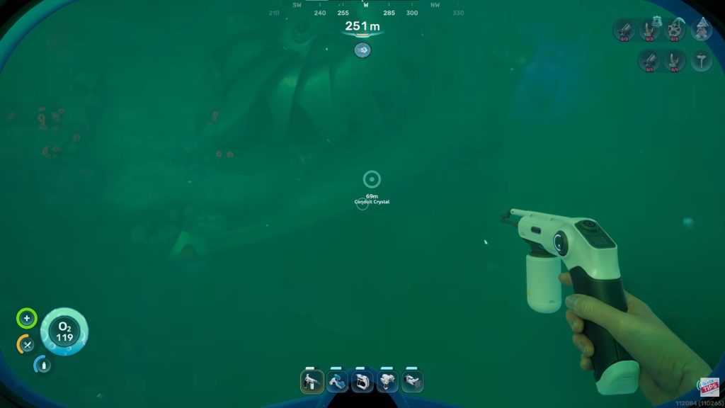 SN2 swimming