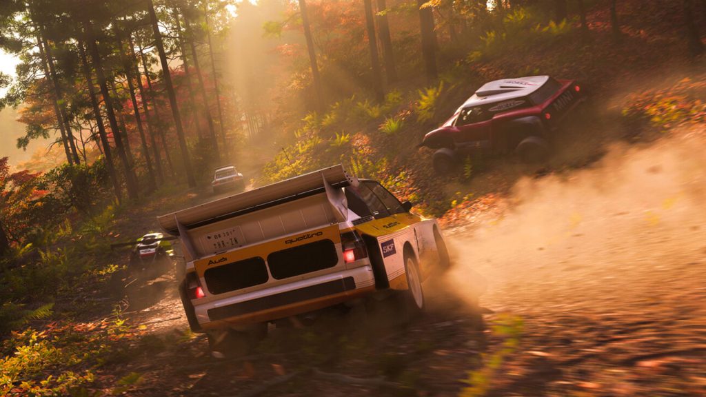 rally Cars in Forza Horizon 6