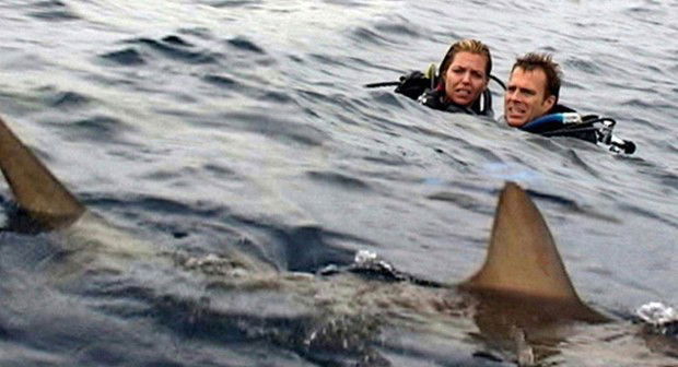 The cast of Open Water