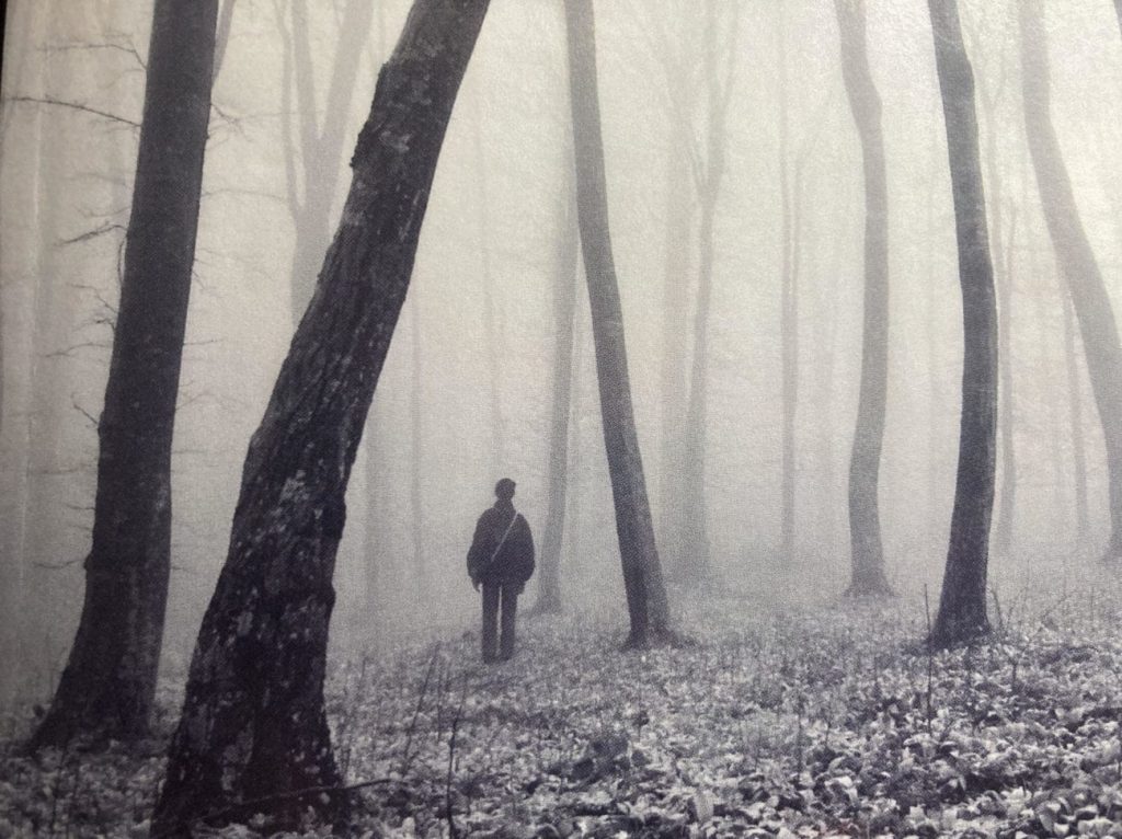 A solitary figure standing deep in a foggy forest, bare trees disappearing into white mist, dead leaves covering the ground, photographed in black and white.