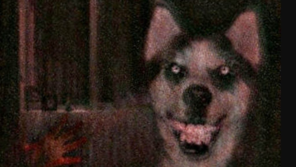 A grainy, low-resolution photograph of a dog grinning with a disturbingly human-like smile, dark background, dim red light visible to the left, the image degraded as if copied and shared too many times.