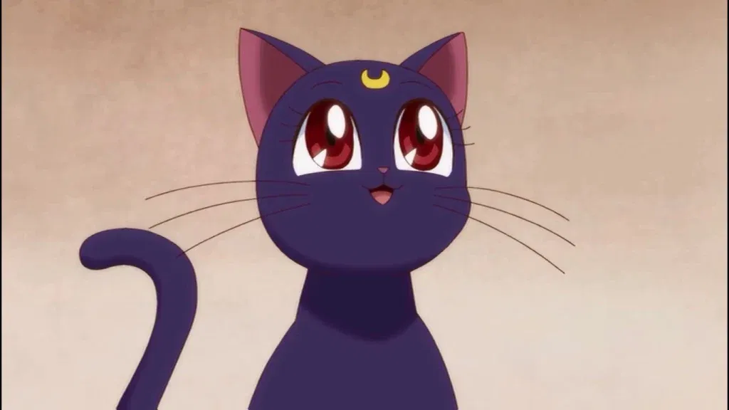luna stares at something in sailor moon