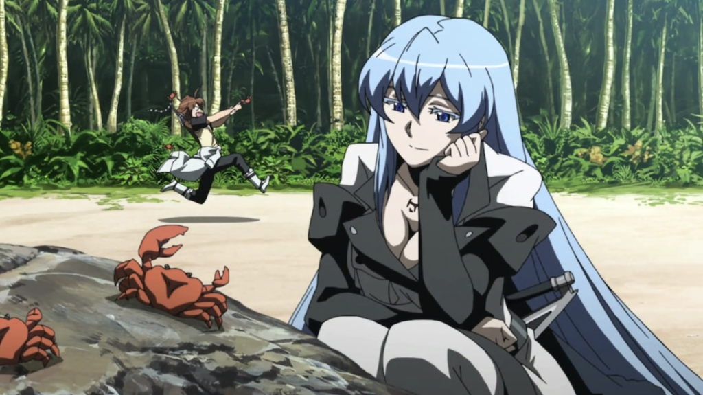 This image features the characters Esdeath and Tatsumi from the anime series Akame ga Kill!