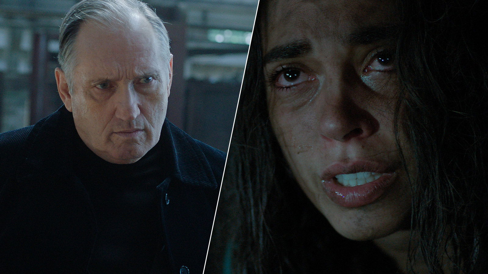Unconditional Finale Ending Explained: Does Mikhail Die? Why Does Kyril Let Orna and Gali Go?