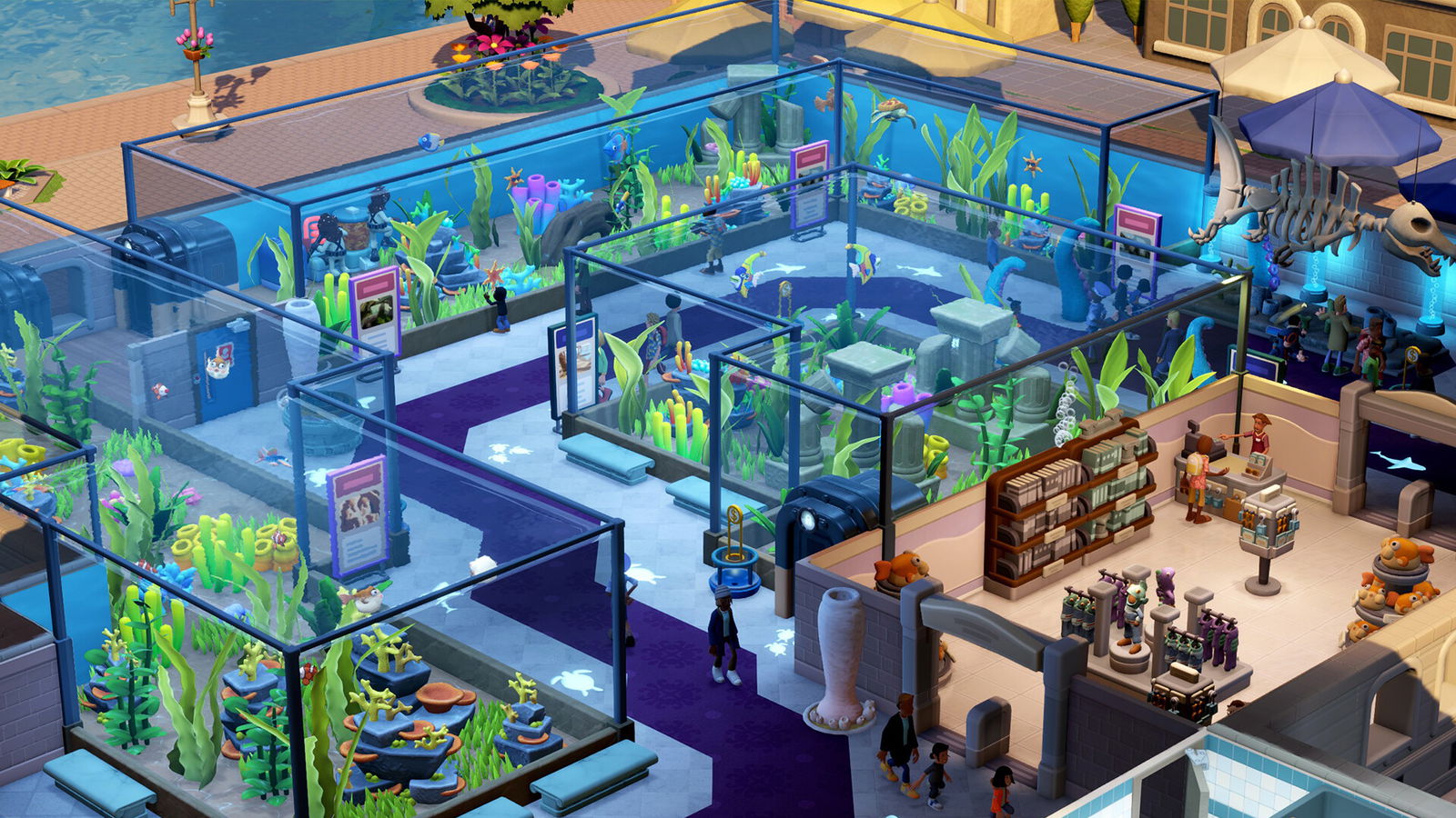 Screengrab from Two Point Museum