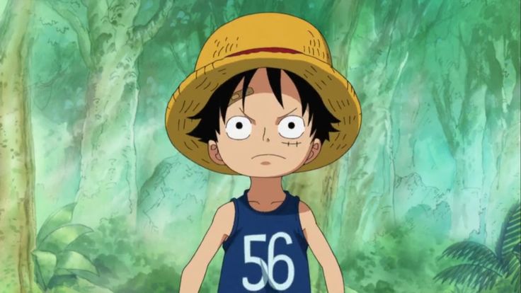 kid luffy Goa Kingdom one piece