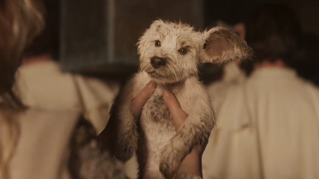 A muddy, injured Krypto is held up in someone's hands after being rescued, with blurred figures standing in the background.