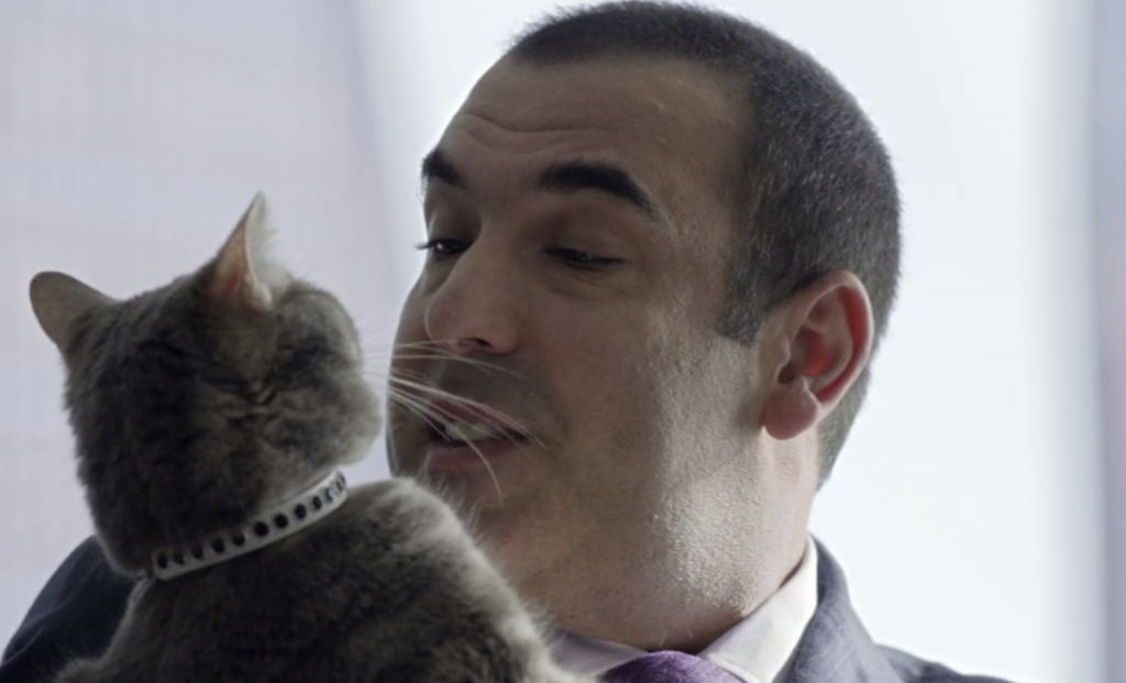 Rick Hoffman as Louis Litt in Suits