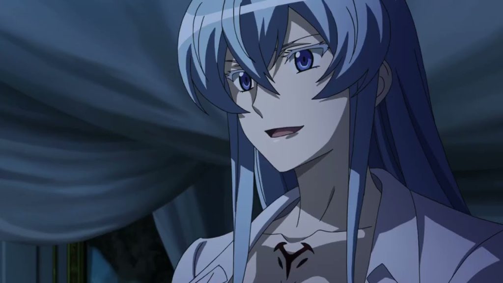 a still from the akame ga kill anime series