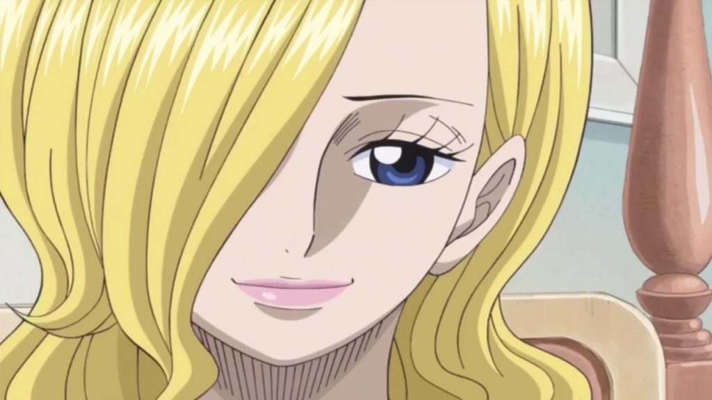 Sora appeared in Sanji's flashbacks in One Piece anime. 