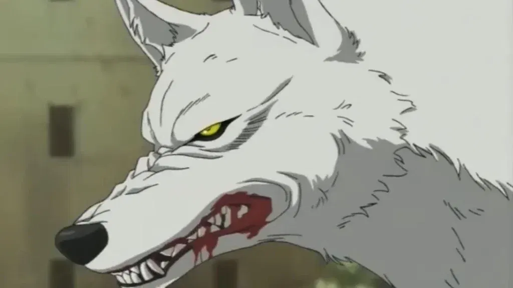 Kiba in his wolf form with yellow eyes from Wolf's Rain. 