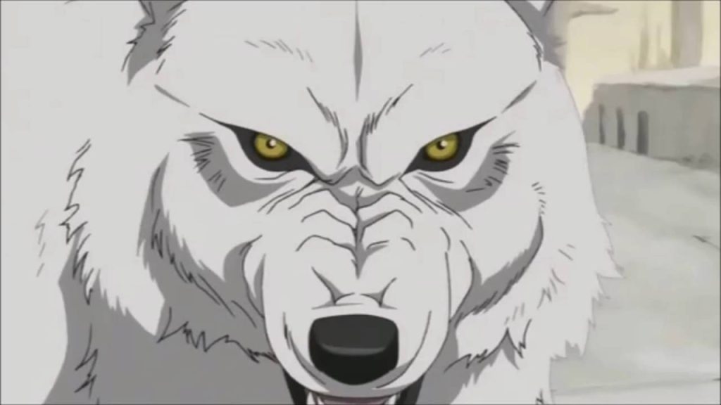 Kiba from the anime series Wolf's Rain.