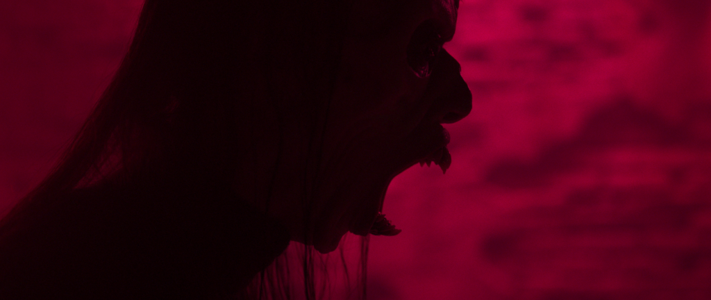 A screaming person in shadow in Parasomnia