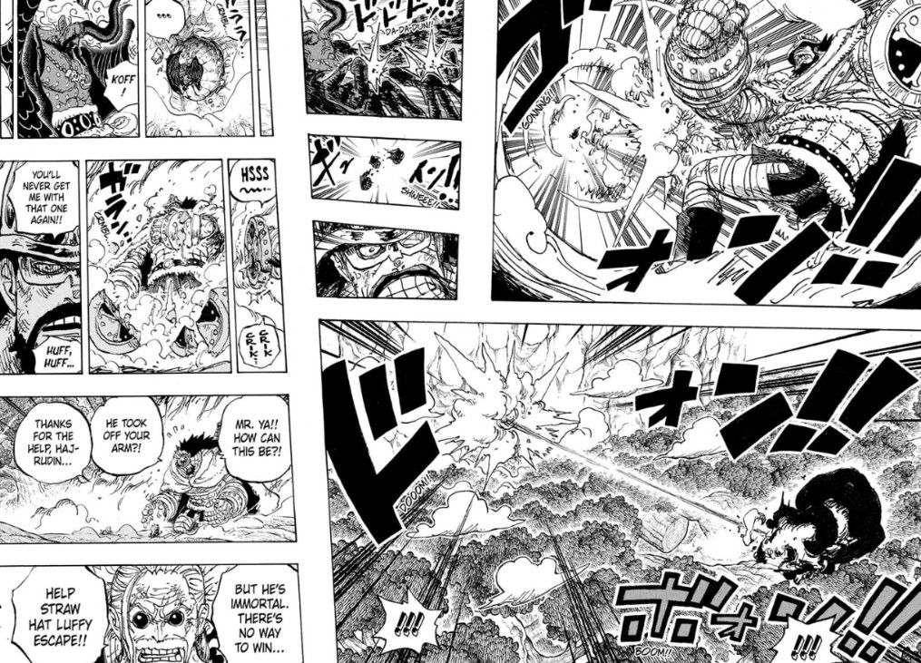 Hajrudin, One Piece, Chương 1191