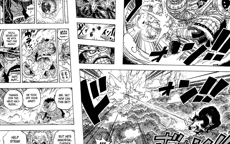 Hajrudin, One Piece, Chương 1191