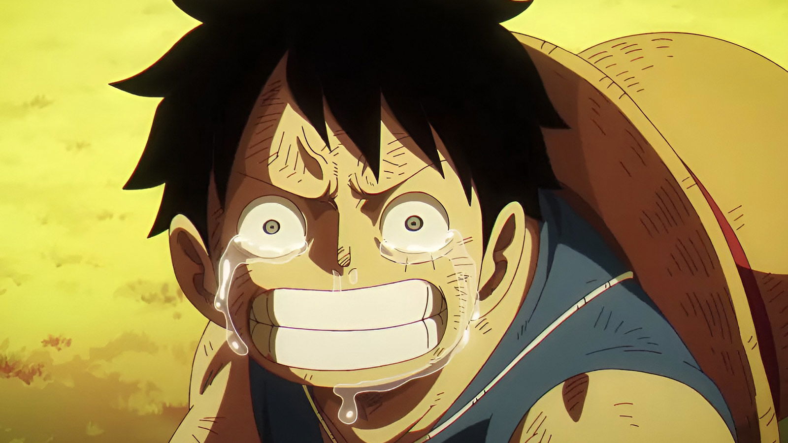 16 Years Later, Even One Piece Fans Claim This Character Has the Greatest Death In All of Fiction