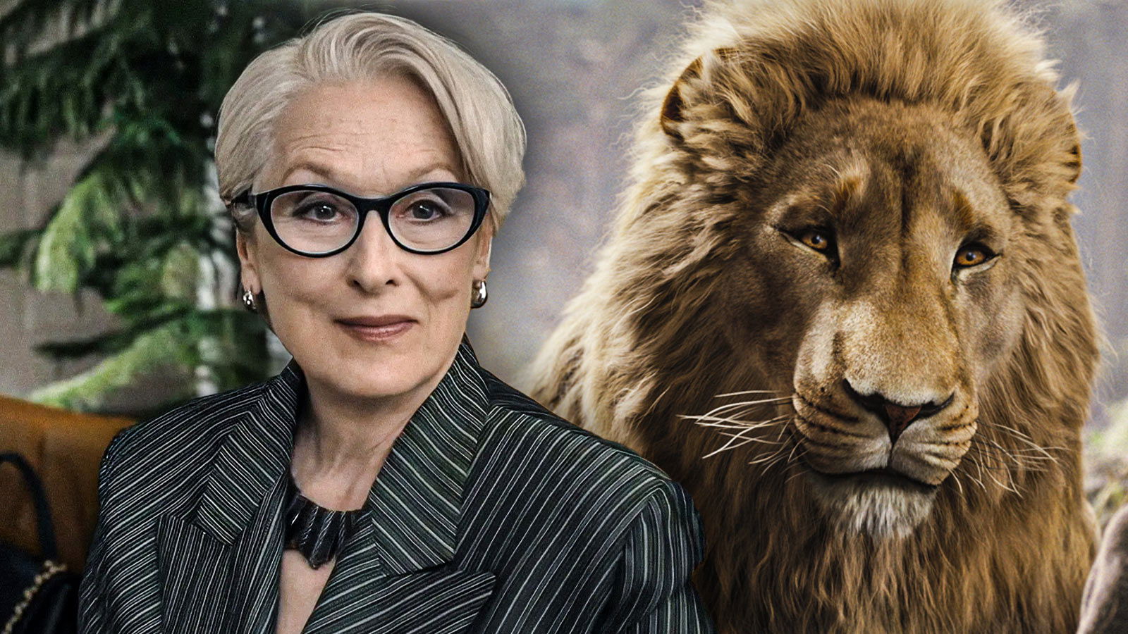 Narnia: Greta Gerwig Officially Reveals Why Meryl Streep Was Cast to Replace Liam Neeson