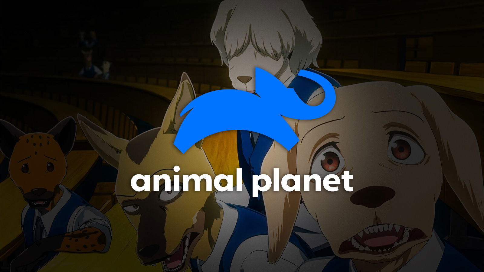 Netflix’s 48-Episode Masterpiece Scores Historic Record as First Anime on Animal Planet