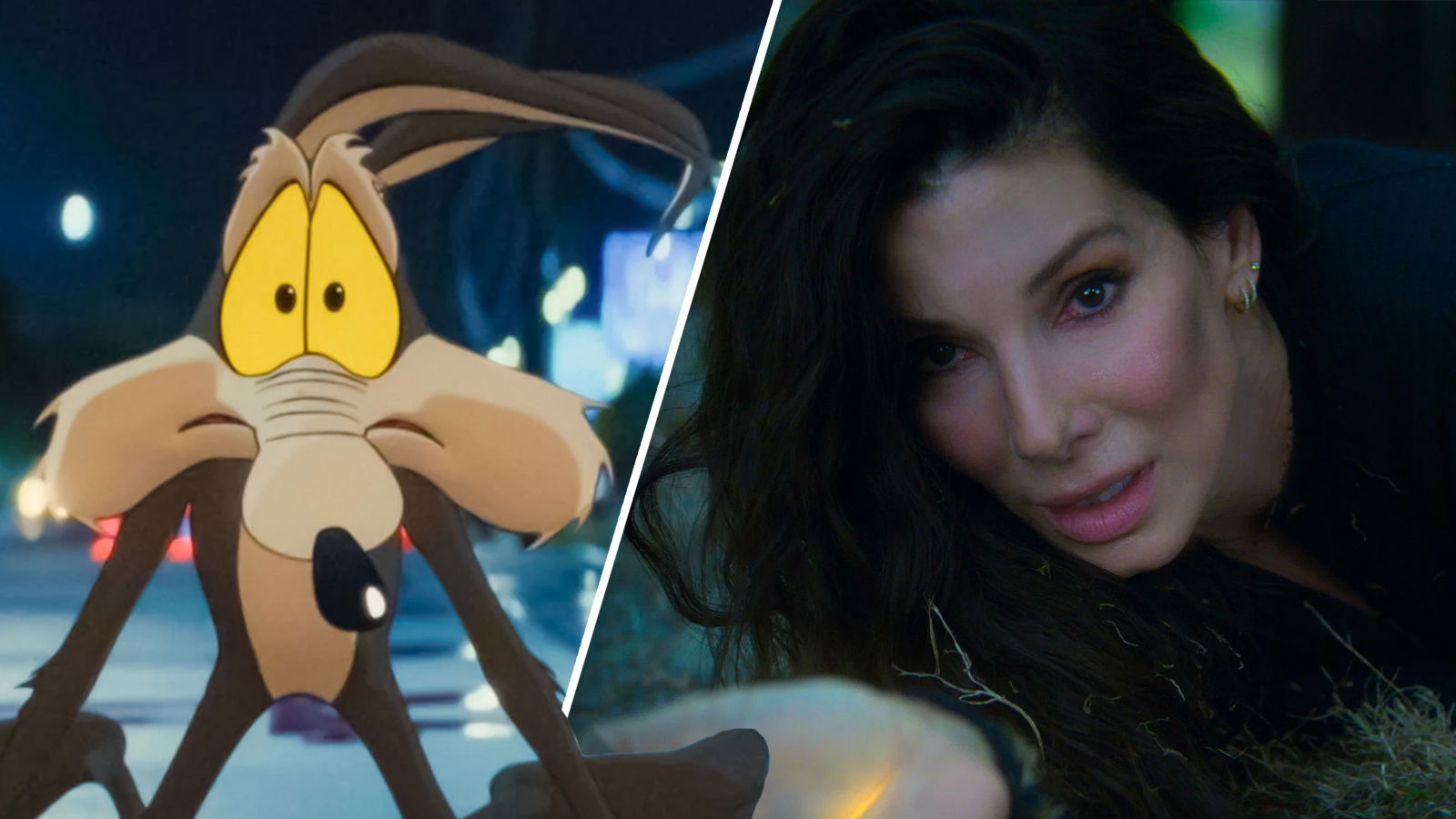 Coyote vs. Acme Officially Beats Sandra Bullock’s Sequel With $100M Box-Office