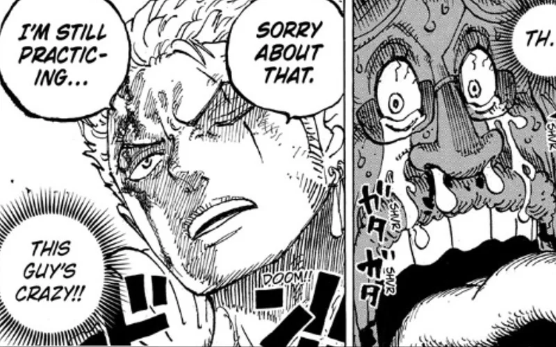 a still from the one piece manga