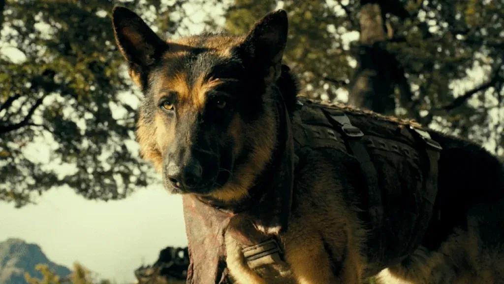 A German Shepherd wearing a tactical harness stands alert with a watchful gaze, backlit by sunlight filtering through trees. A still from heart of the beast