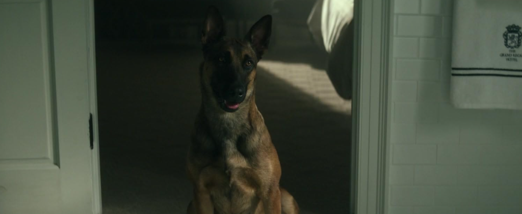 Lana 5 in Dog (2022)