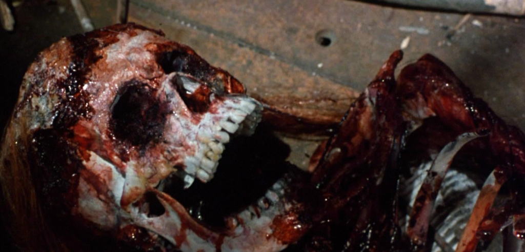  The Winged Serpent (1982)