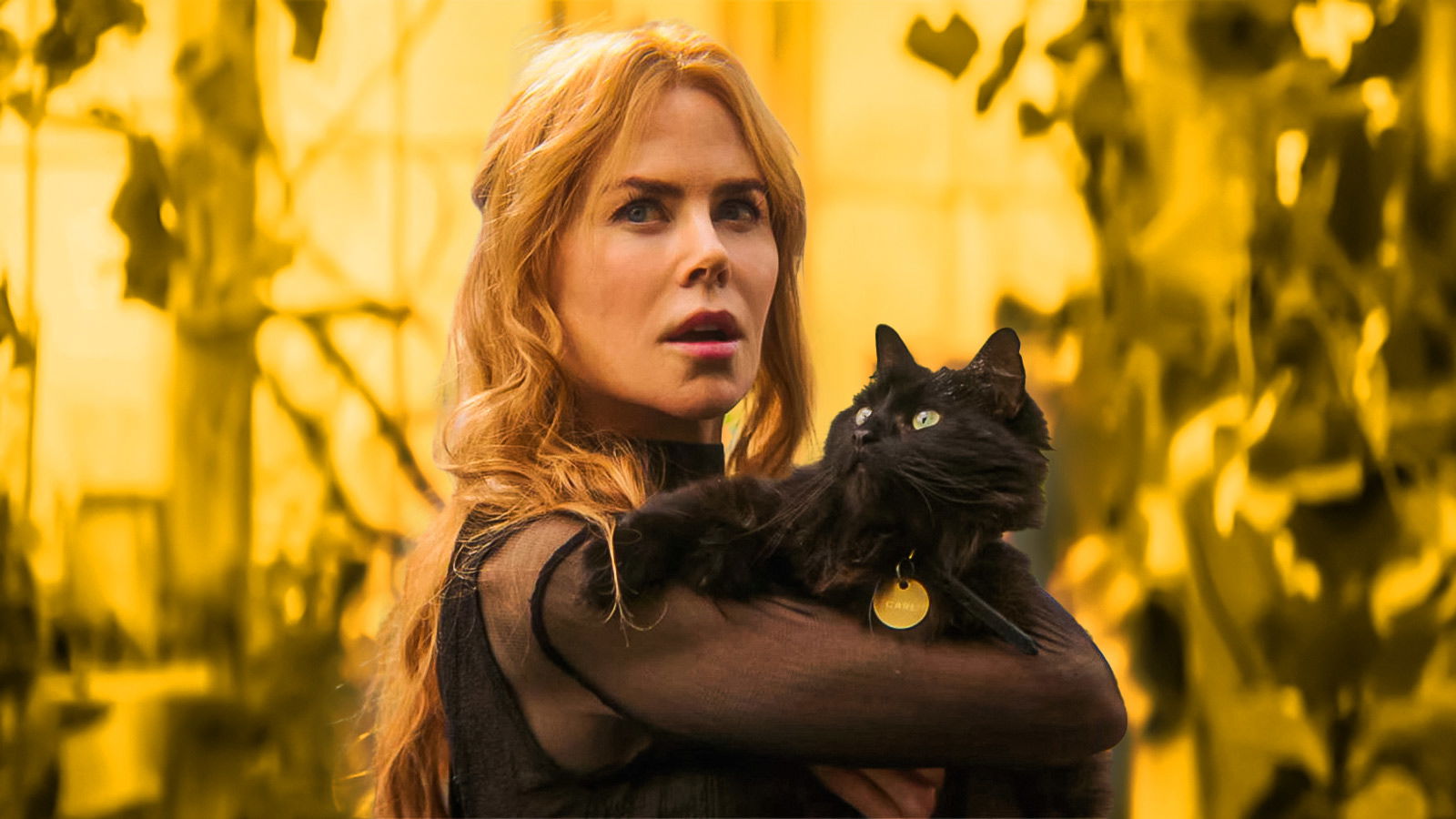 Nicole Kidman’s 104-Minute Sequel Officially Heads to Digital After 32 Days in Theaters