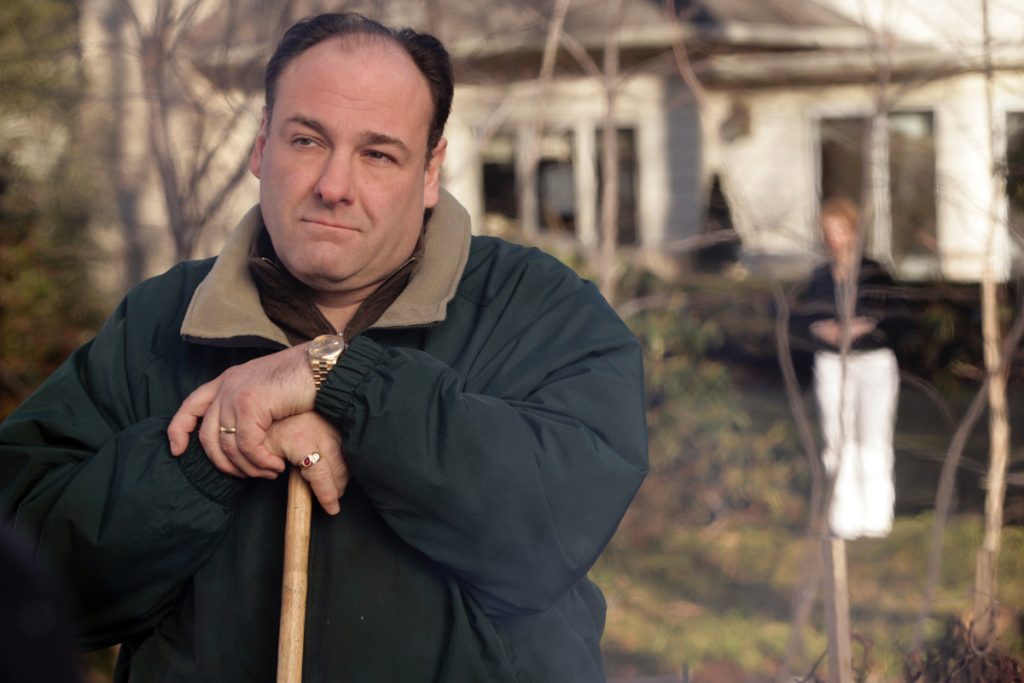 Tony Soprano in a field